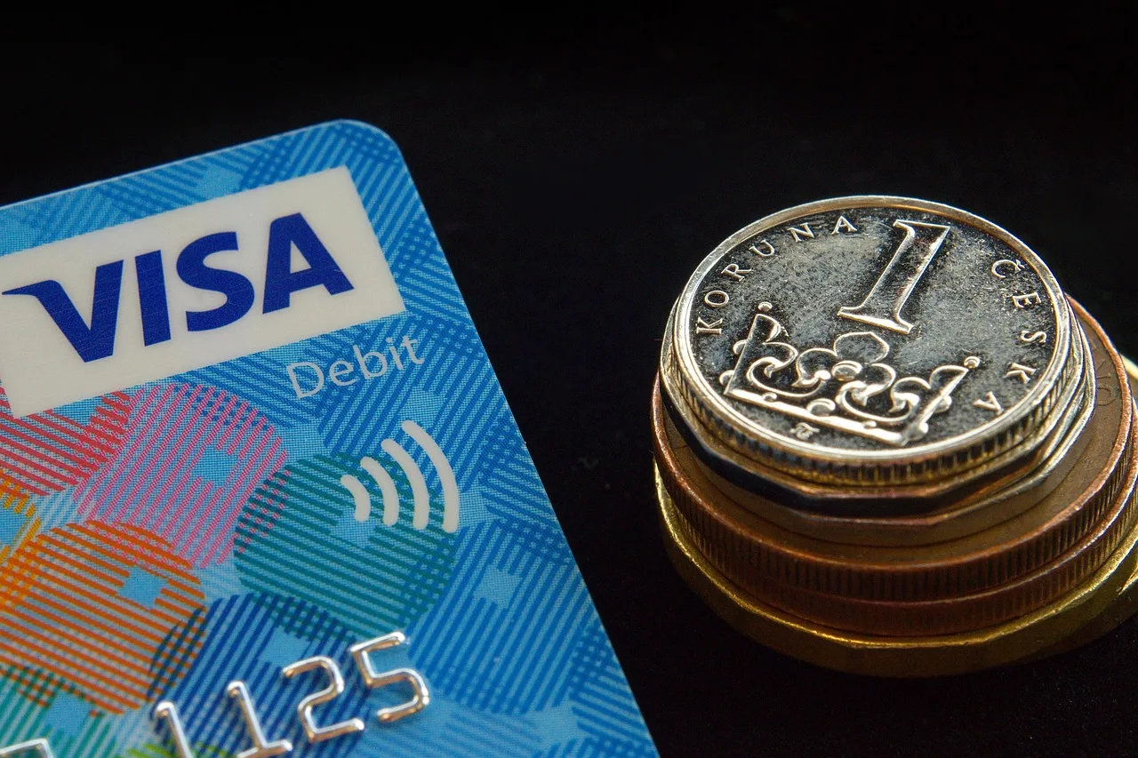 credit card, card, czech, republic, czechia, the economy, finance, payment, wage, salary, non-cash, coin, crown, small, visa, visa, visa, visa, visa, visa. Credit cards mistakes, and the fixes that hold