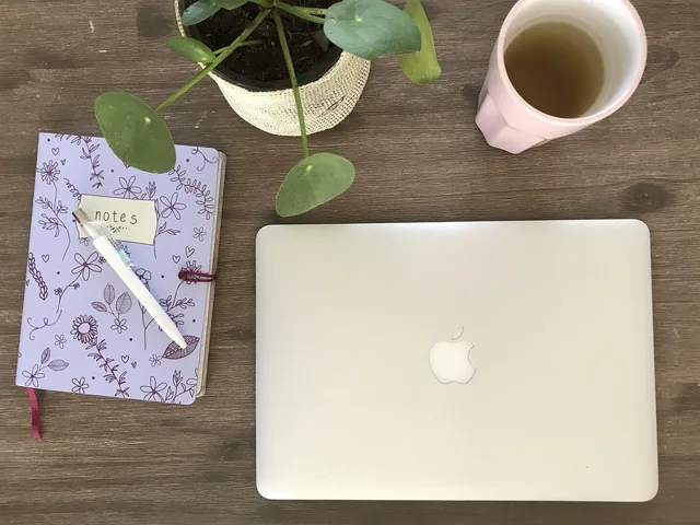 macbook, work, notebook, laptop, office, business, desk, writing, working, table, brown desk, brown company. Doing everything right still failed on five tradelines files